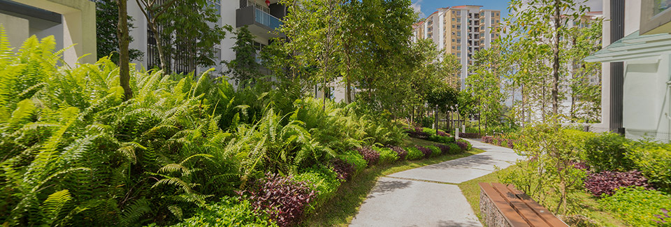 Grüner Weg zwischen Häusern