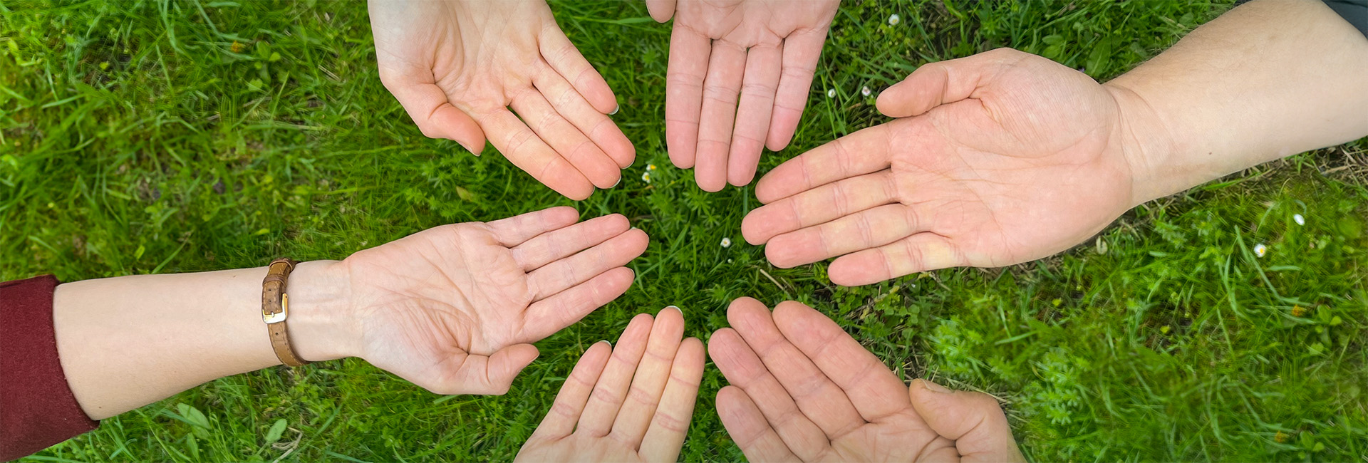 Hände in einem Kreis über einer grünen Wiese
