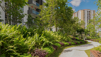 Weg durch Bäume und Pflanzen