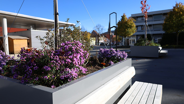 Fotos von Baumkübel auf dem Spaichinger Marktplatz
