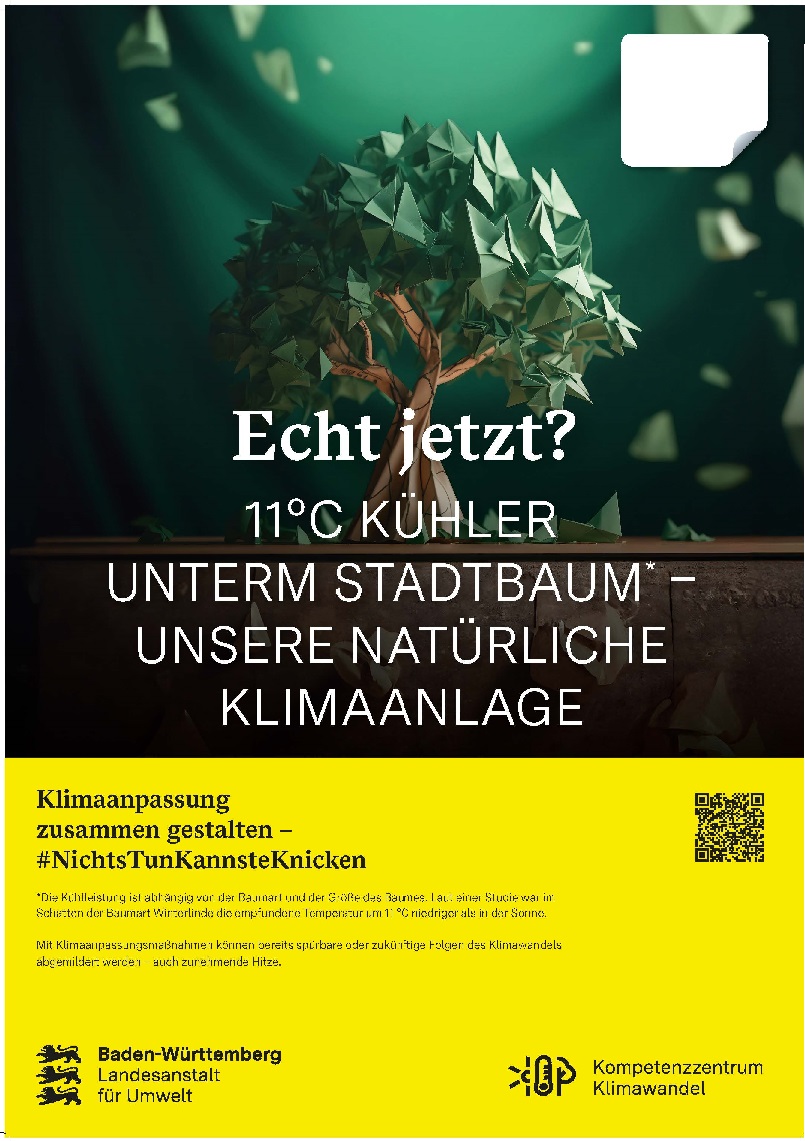 Plakat aus der "echt jetzt?"- Plakatkampagne