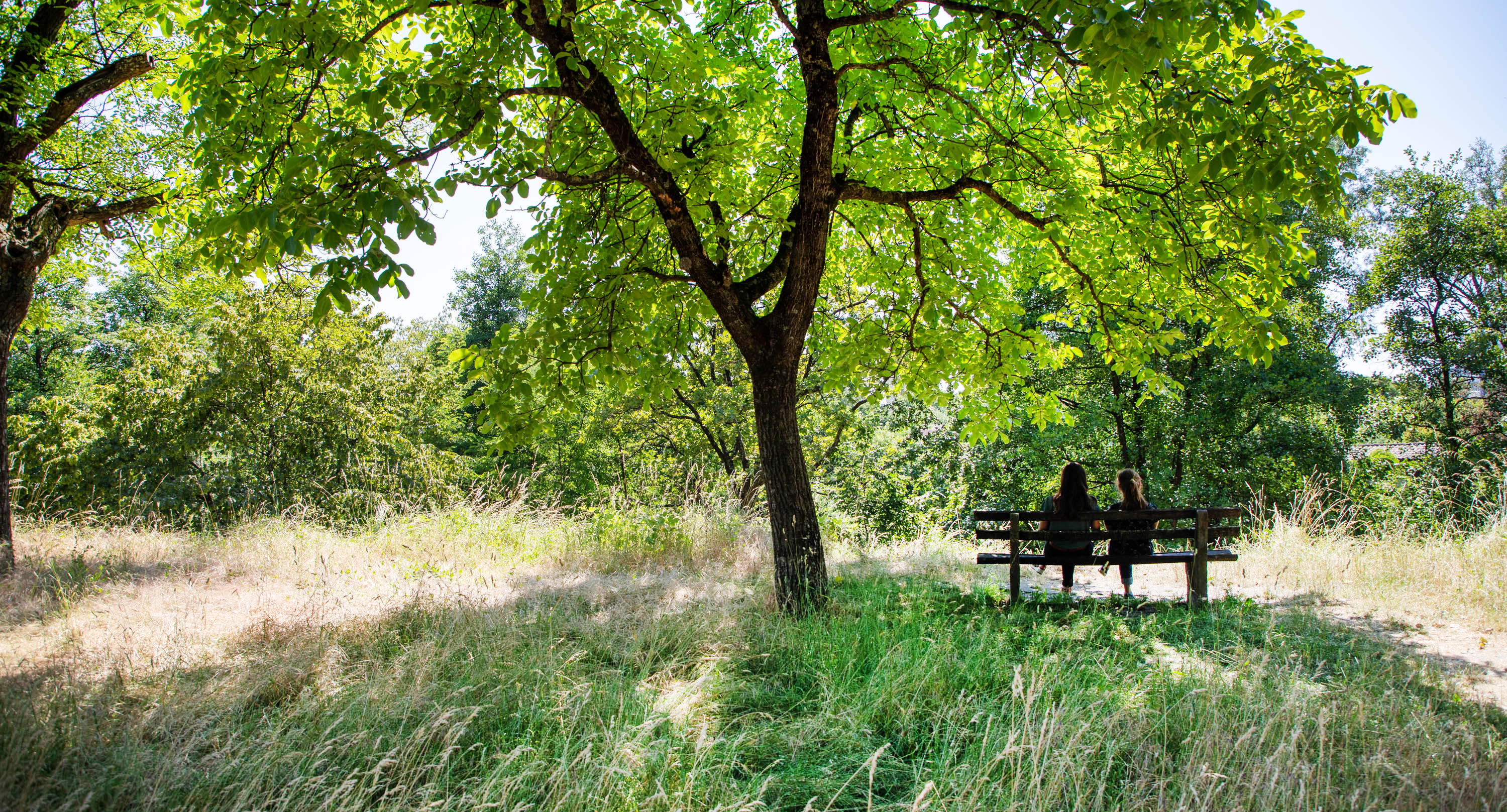 Klimaanpassung in Kürze