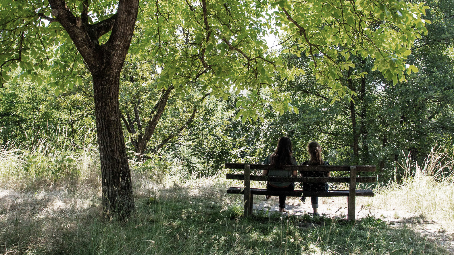 Bank unter Baum auf der zwei Menschen sitzen