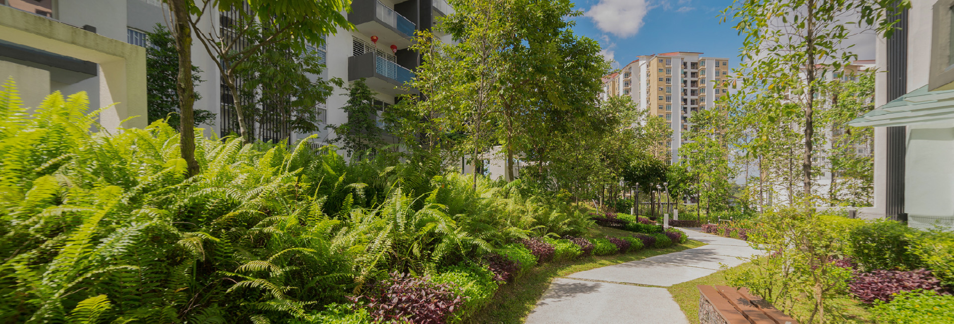 Grüner Weg zwischen Häusern