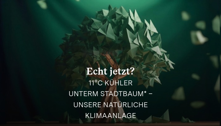 Stadtbaum spendet Schatten