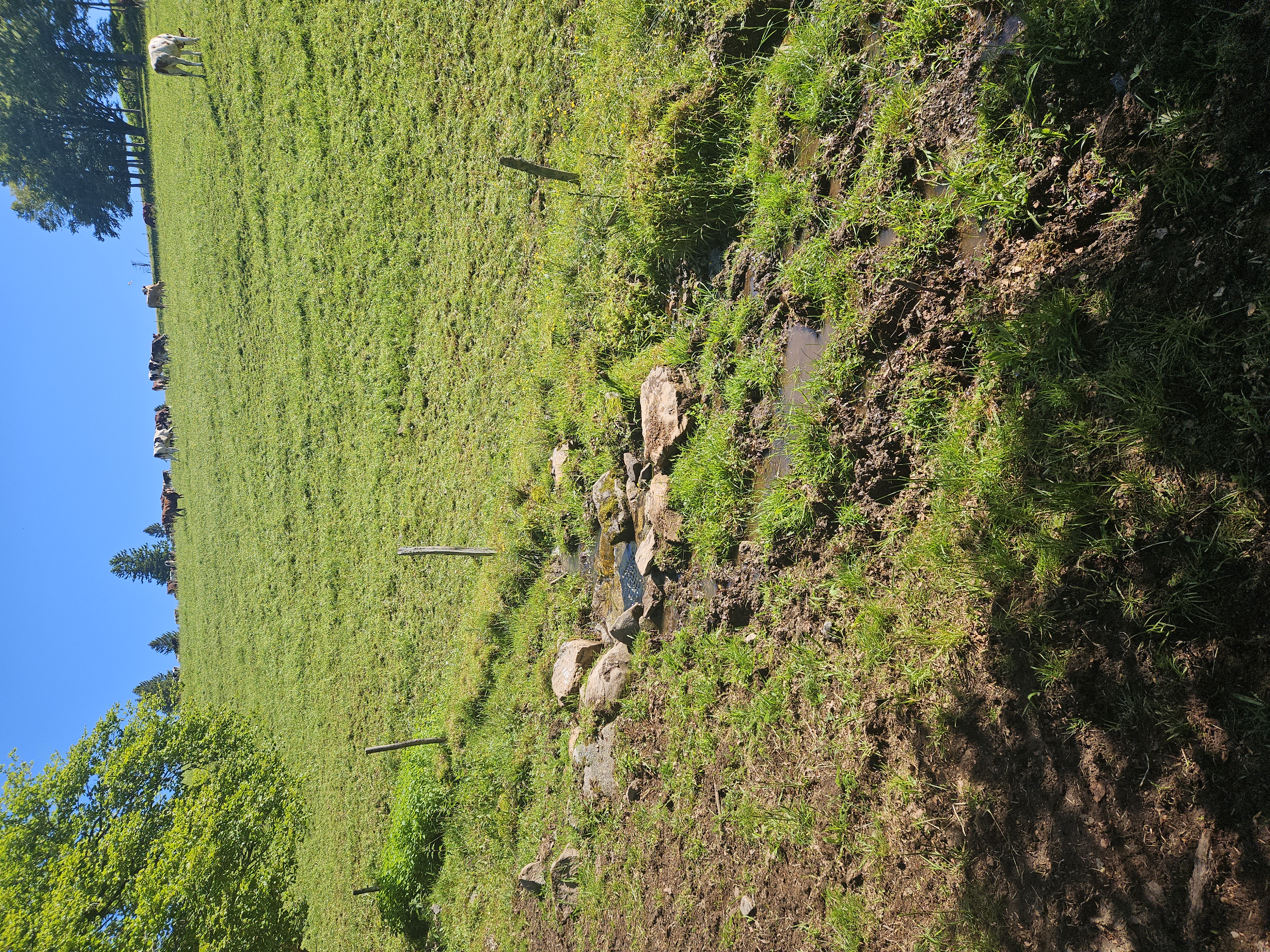 Modellprojekt Tränkwasserversorung Landkreis Breisgau-Hochschwarzwald