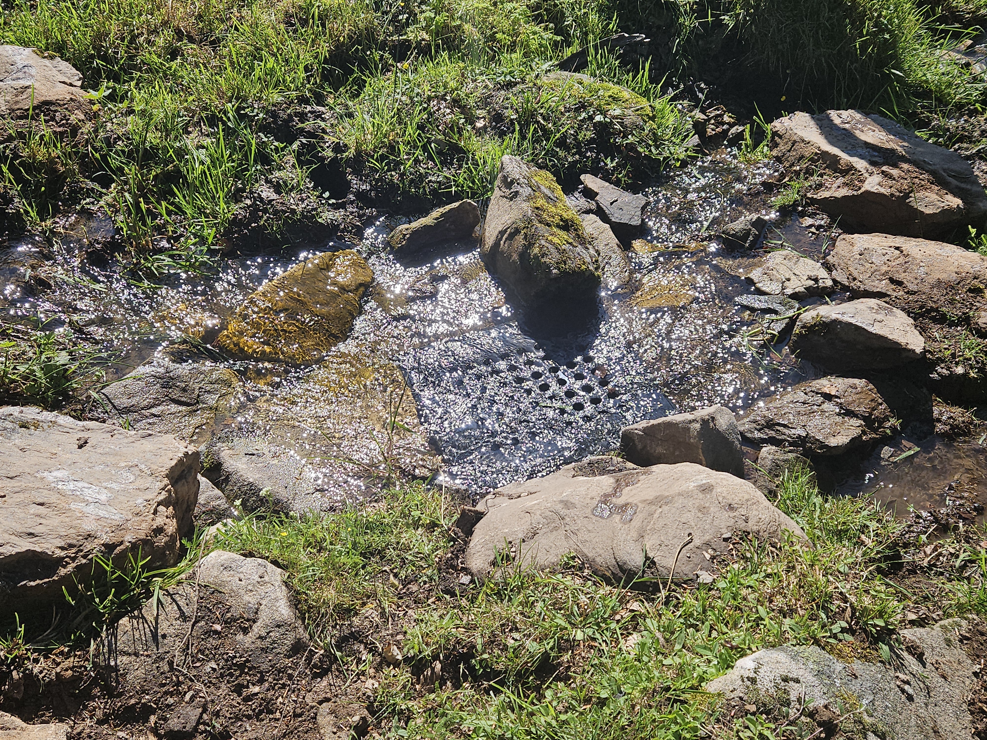 Modellprojekt Tränkwasserversorung Landkreis Breisgau-Hochschwarzwald
