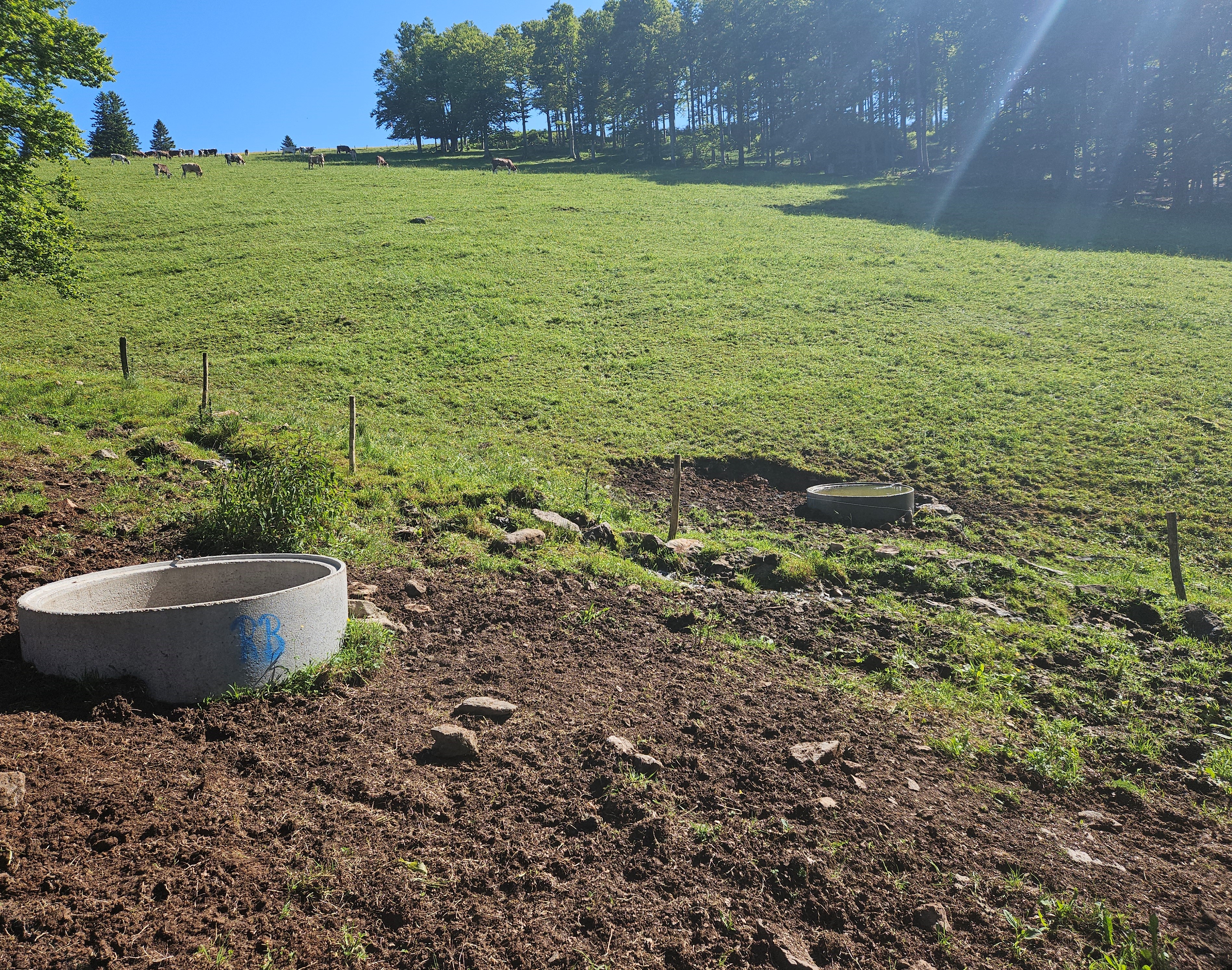 Modellprojekt Tränkwasserversorung Landkreis Breisgau-Hochschwarzwald