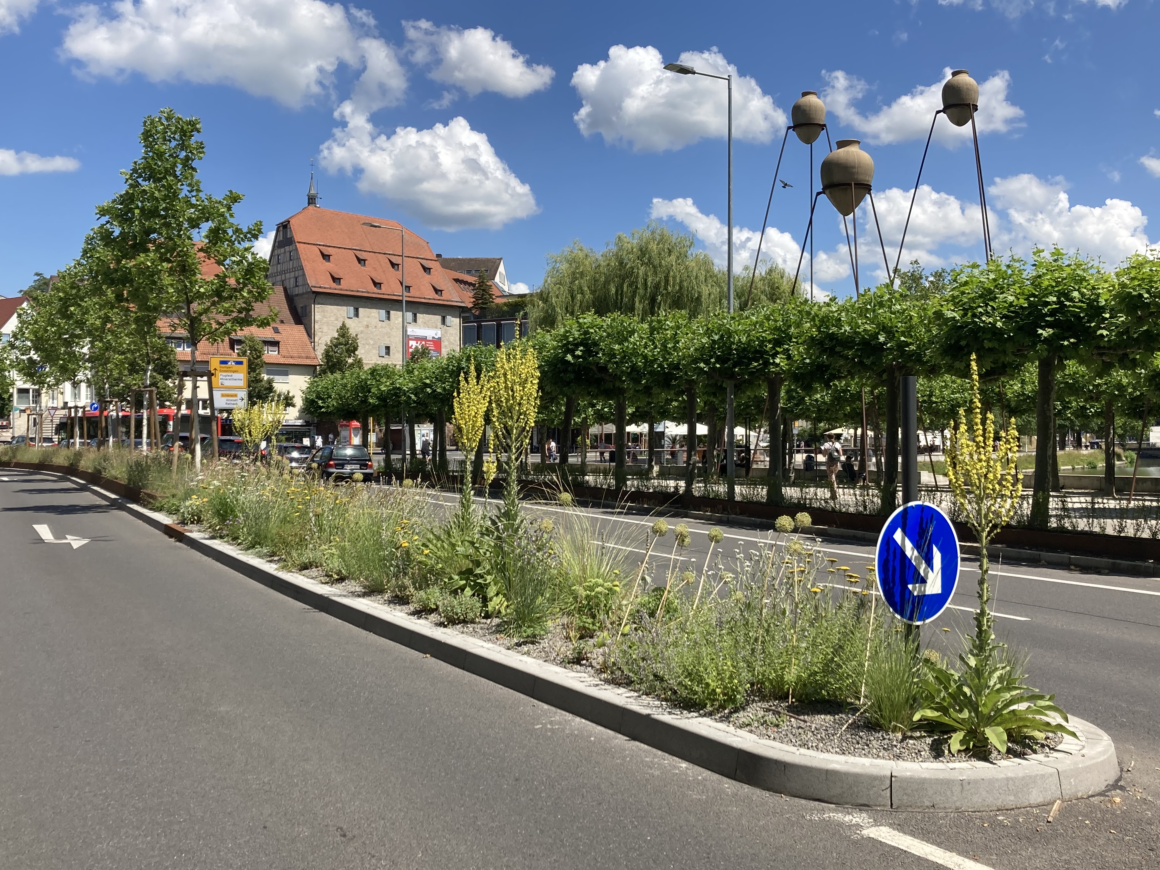 Vegetation: Pflanzungen, Ansaaten und Blühergebnisse in Böblingen