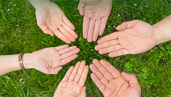 Mehrere Hände in einem Kreis über einer grünen Wiese.