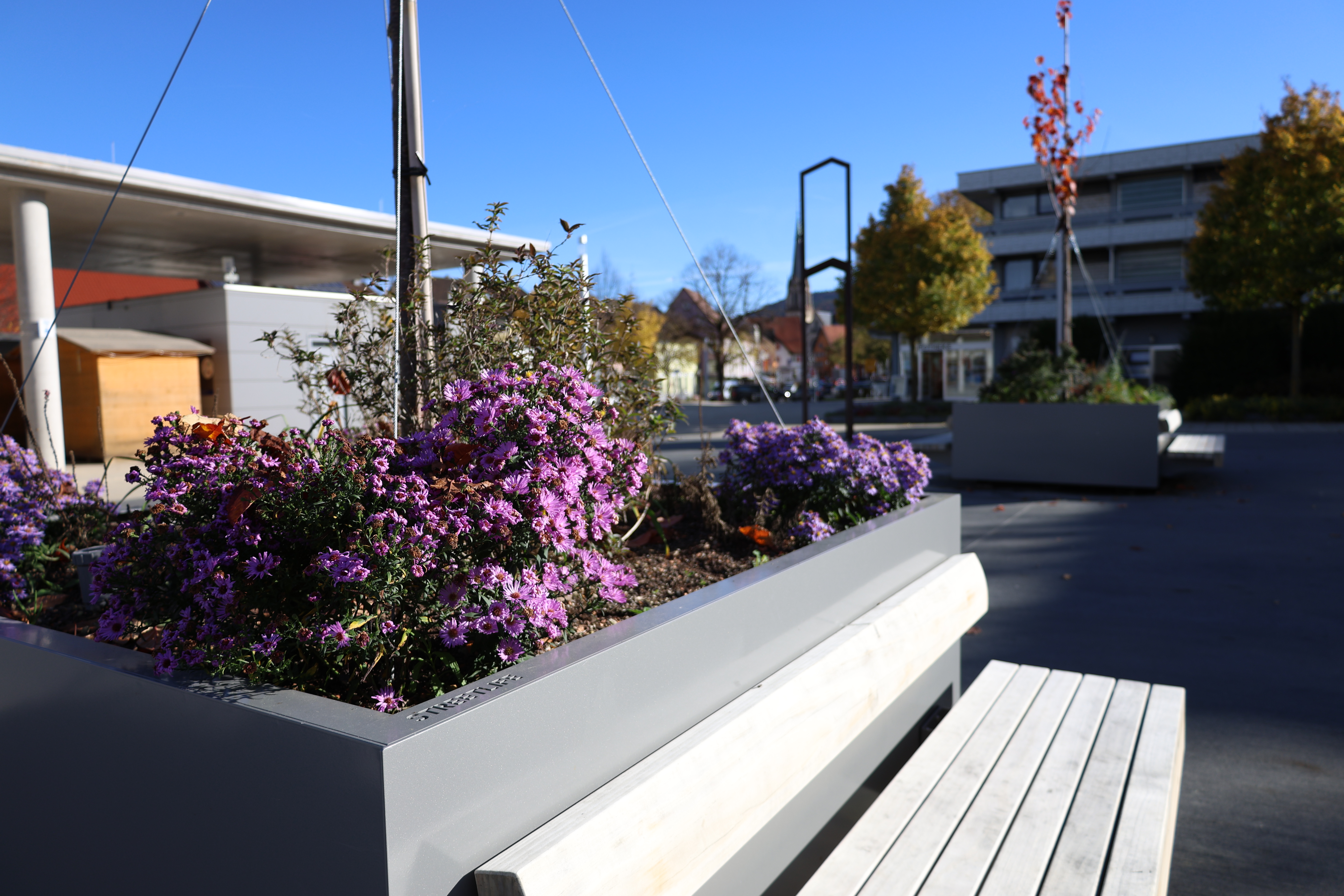 Fotos von Baumkübel auf dem Spaichinger Marktplatz