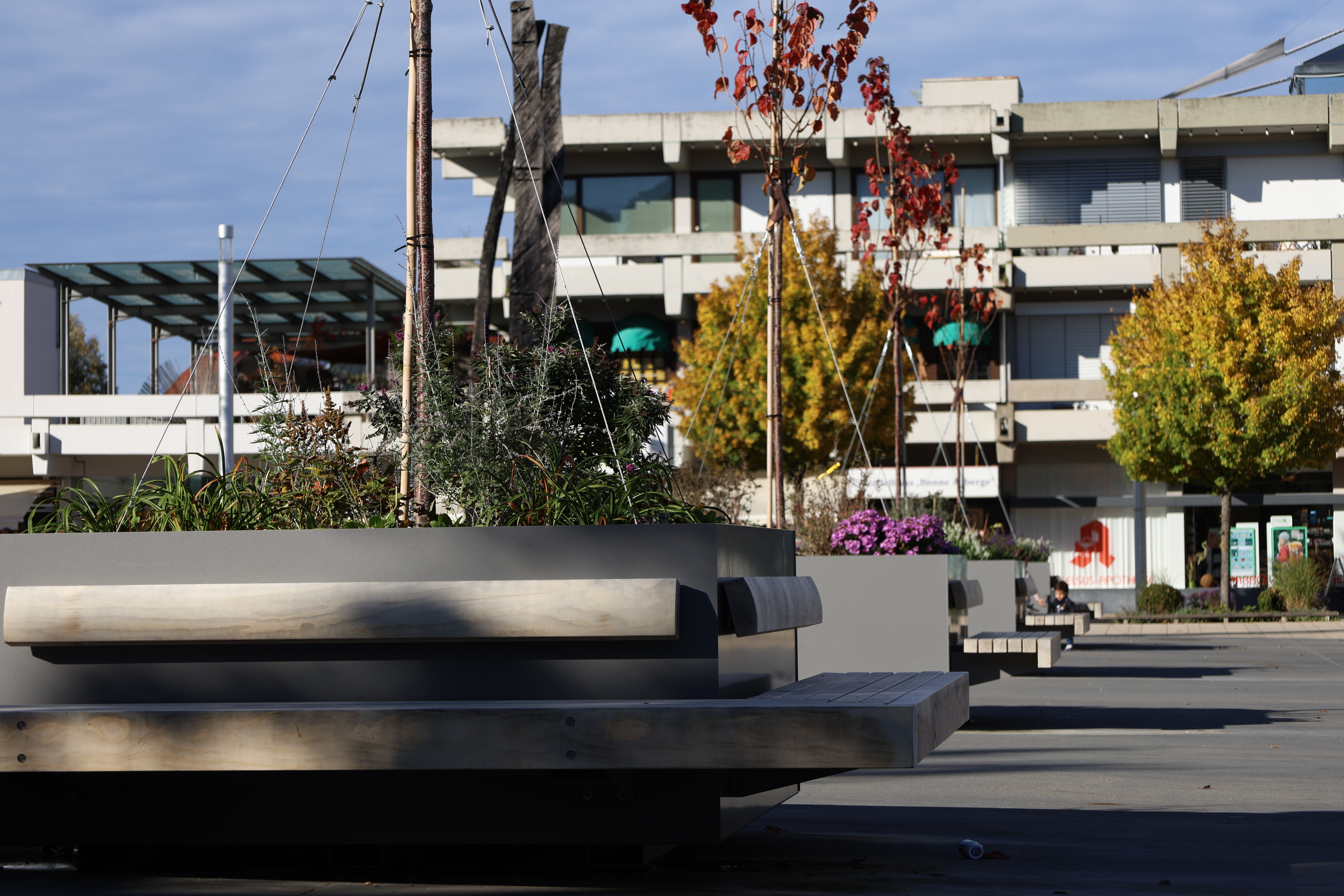Fotos von Baumkübel auf dem Spaichinger Marktplatz