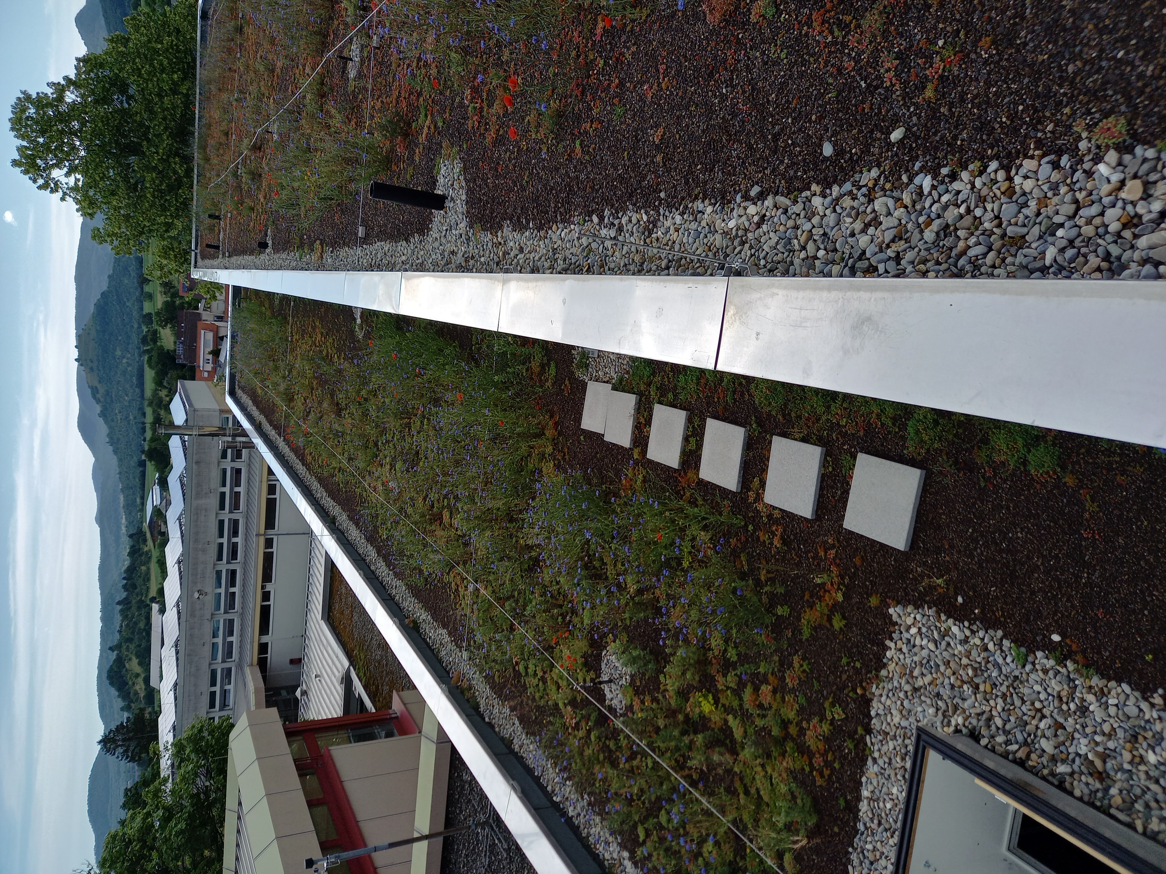 Sanierung Schuldach in Bissing an der Teck