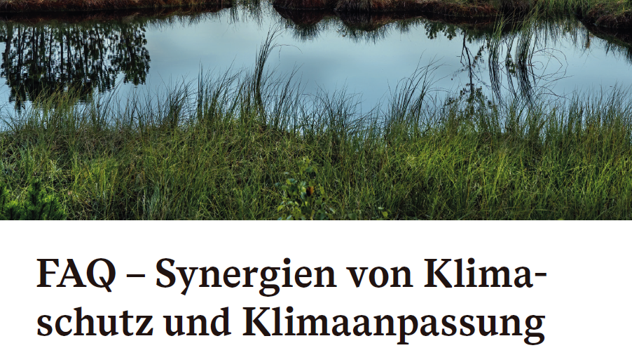 Titelbild des FAQs